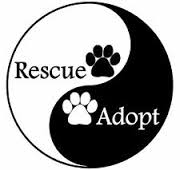 Rescue Adopt a Pet Logog